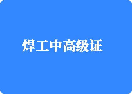 女人让男人狂插60分钟的网站焊工中高级证